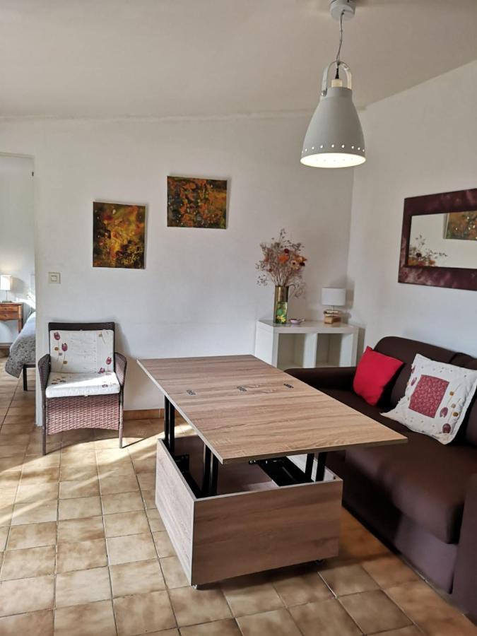 La Petite Seigneurette Villa Villeneuve-lès-Avignon Kültér fotó