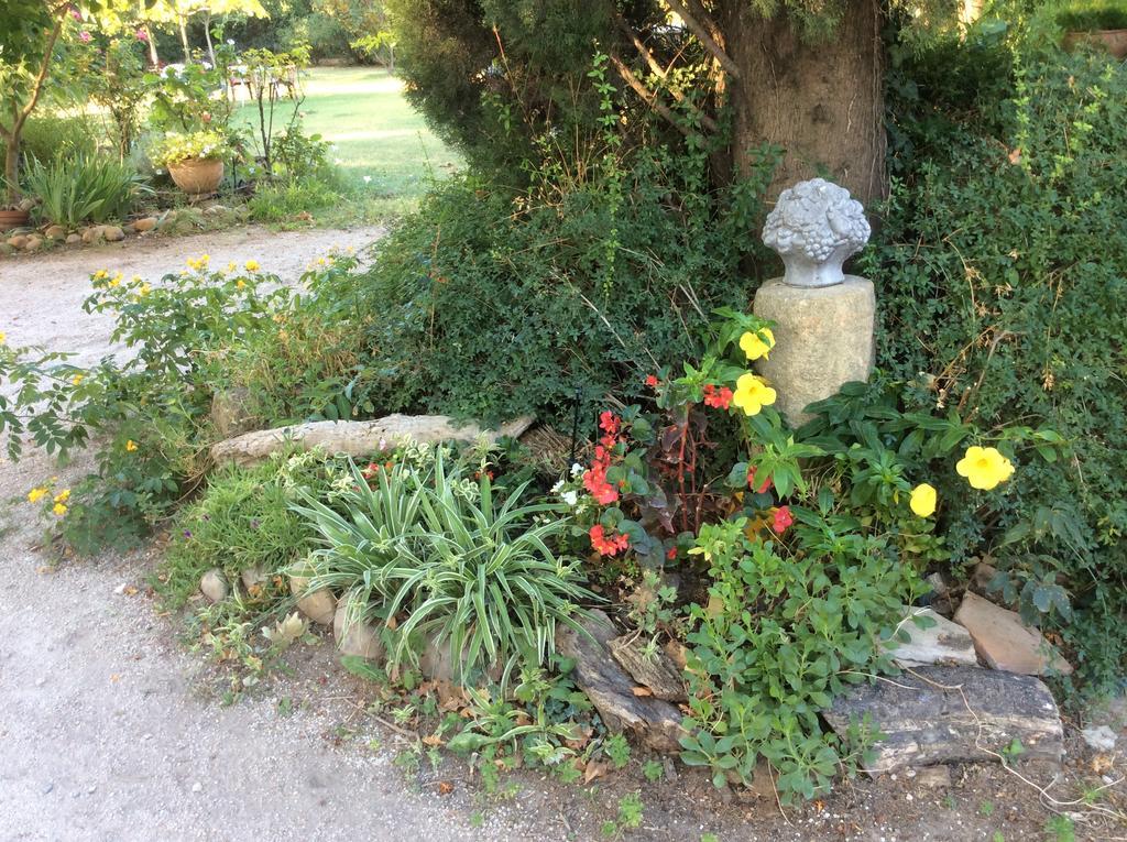 La Petite Seigneurette Villa Villeneuve-lès-Avignon Kültér fotó